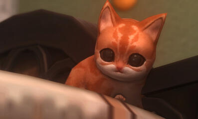 meow....... :3 meow....... :3
